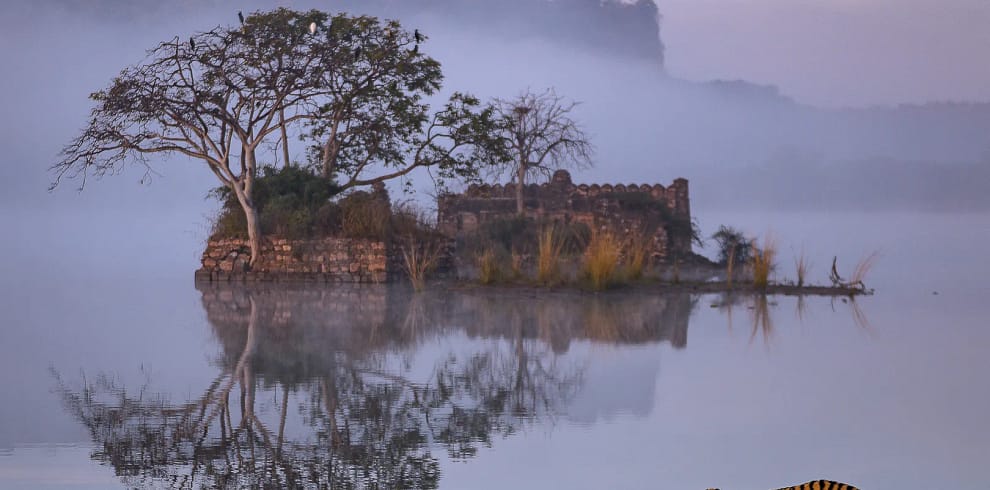 Padam Lake Ranthambore